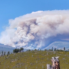 Untold: How an Oregon ranger saved hundreds from the 2020 Labor Day Fires
