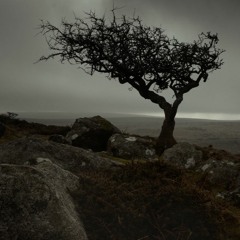 Audiobook - Great Expectations