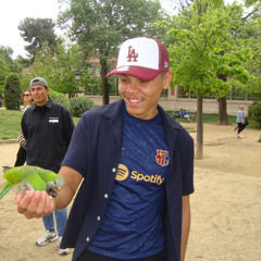 Active Asake & Travis scott (djsekreto Remix)