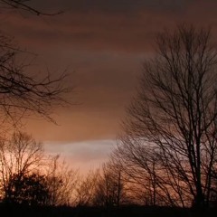 Lisa Gerrard - Aria (from Layer Cake)