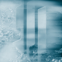 Skrillex - QFF/DGTC/FUS 25 (botanica flip)