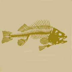 Skeleton on the beach