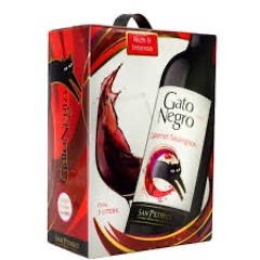Gato Negro Blues (Drunk Version)