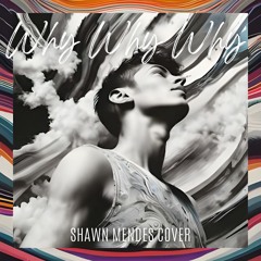 Why Why Why (Shawn Mendes cover) (Single Version)