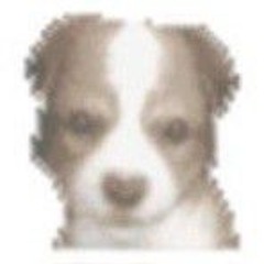 ♡☆tenia tanto qe darte☆♡