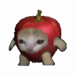 Happycat remix