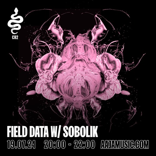 Field Data w/ Sobolik - Aaja Channel 2 - 19 07 24