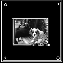 Vesa-Matti Kivioja - ANLIS UNIVERSUS (Still Life 026)