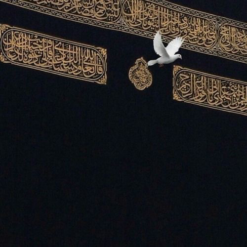 ‎⁨اقبلني مولاي | السيد أحمد الموسوي ⁩