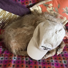 Sending Fruitcake Through The Post