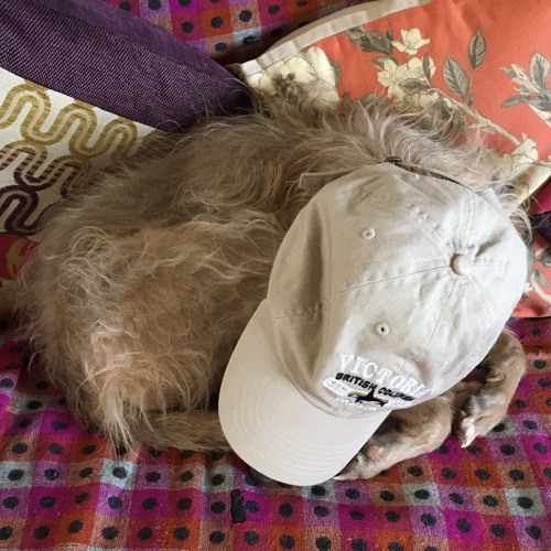 Sending Fruitcake Through The Post