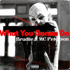Brudiie ft MC Peterson - What you gonna do.mp3