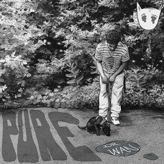 Pure -ElCamino ft Dr.wan