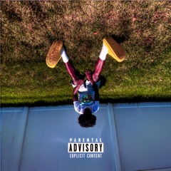 INDIA LOVE ft. (DJ TONE EXPERIENCE)