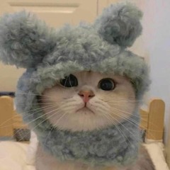 đâu đâu cũng là em ?