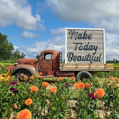 Moon nights session 022