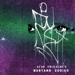 B6 Holotropic Rock MASTER (NOTNOTFUN RECORDS)