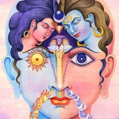 Guided Meditation - Full Body Energy Recalibration