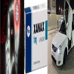 MD#KANIMDA wingzz+pred