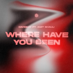 DavidK3y - Where Have You Been (ft. Amit Shauli)