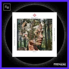 PREMIERE: PKNeer, Francesco Fruci - Into The Woods | Nova Mova