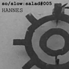 so/slow:salad PODCAST 005 -<< HANNES