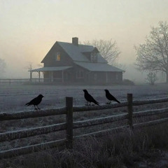 Three Crows Waiting