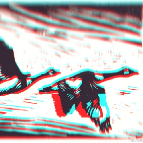 Knowable Goose
