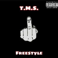 T.M.S. (freestyle)(prod. 8ksubi)