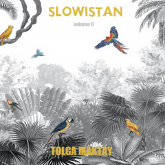 Tolga Maktay - Slowistan Vol.II