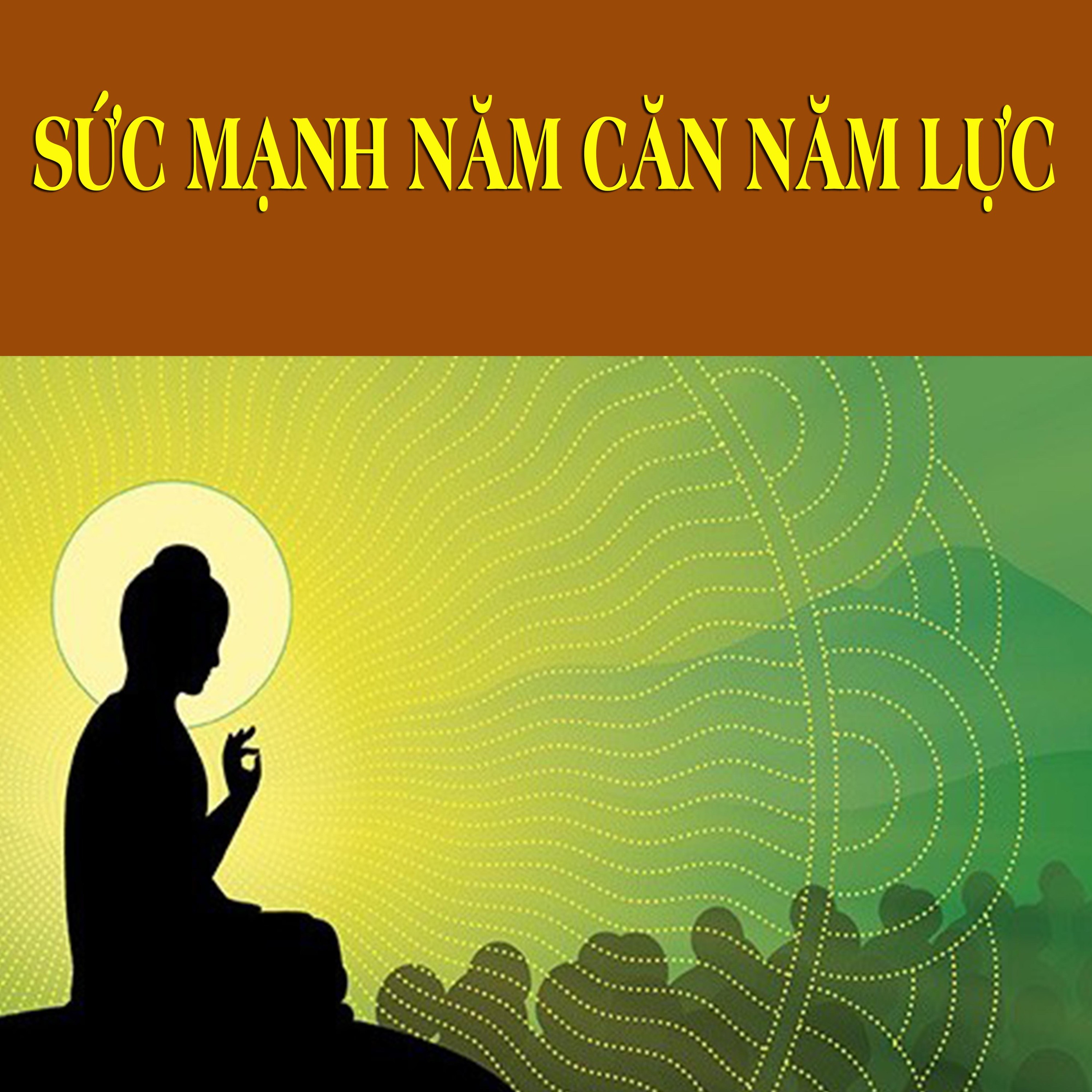 Sức Mạnh Năm Căn Năm Lực episode artwork