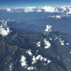 Oraculum