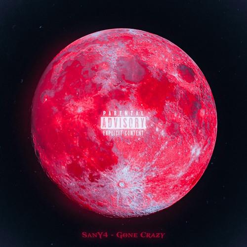 SanY4 - Gone Crazy