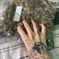 Type Shit :/