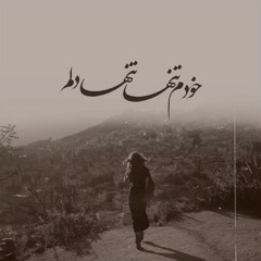 Hayedeh - Minaye Del (SlowRemix)