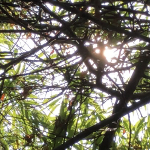 Inside the sun [P+ dontcriii & aweyk]