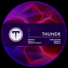 Norm T - Simulation (Capeesh Society Remix)