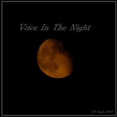 Voice In The Night