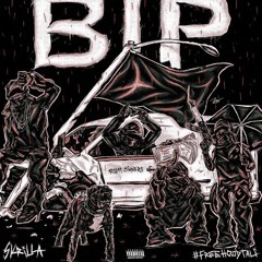 Skrilla x DoodiBabby - Bipppp