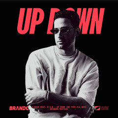 T-Pain, B.o.B - Up Down (BRANDON Bootleg)