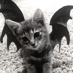 Bats