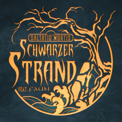 Schwarzer Strand (feat. Faun)