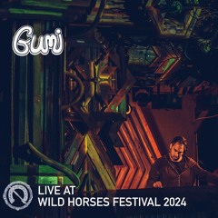 GUMI live set @ Wild Horses Festival 2024