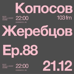 Peter Zherebtsov  & Sergey Koposov - Deep Intelligent Sound 088 (21.12.22) 1 Hour