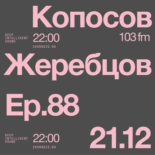 Peter Zherebtsov  & Sergey Koposov - Deep Intelligent Sound 088 (21.12.22) 1 Hour