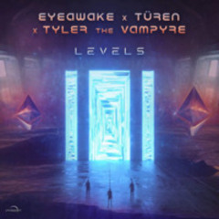 Levels (Original Mix)