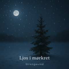 Ljos i mørkret