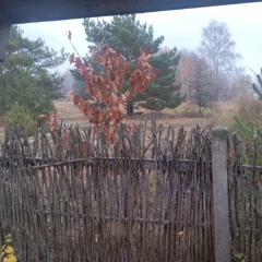 $werve - krushed! (super slowed+reverb by MZKX)