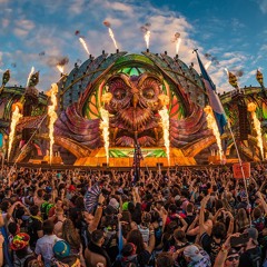 Kinetic Field Set EDC Orlando 2025
