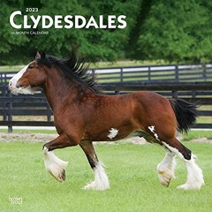 [Download] EPUB 📭 Clydesdales | 2023 12 x 24 Inch Monthly Square Wall Calendar | Bro